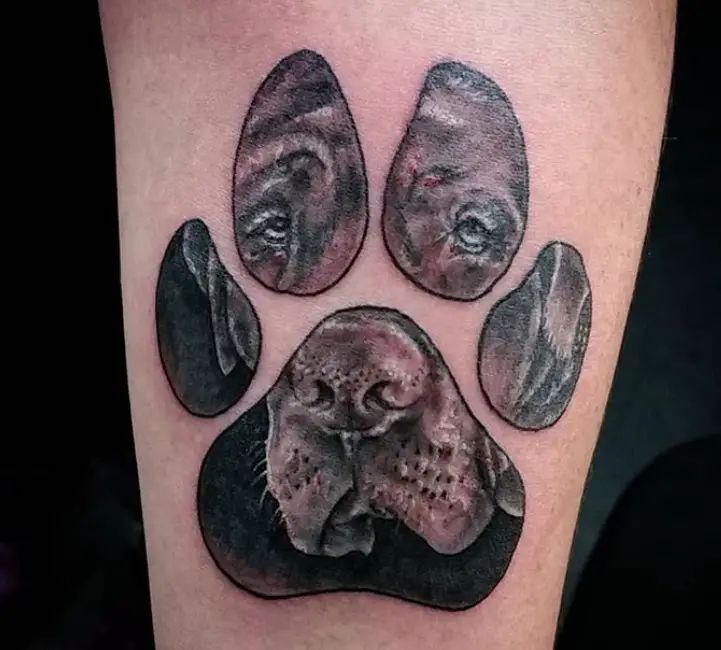 17 Dog Nose Tattoo Ideas: Capturing the Essence of Canine Identity