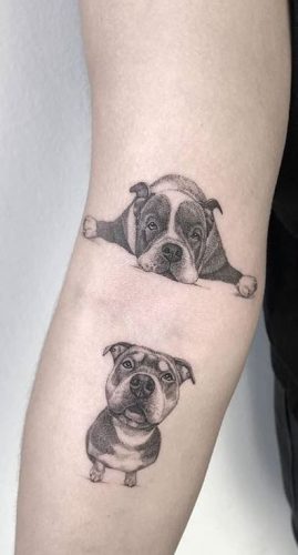 24 Dog Portrait Tattoo Ideas
