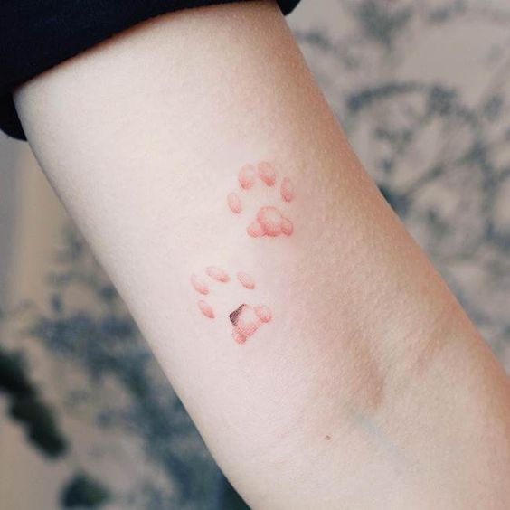 23 Minimalist Cat Tattoo Ideas