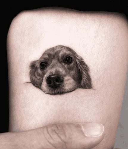 17 Dog Nose Tattoo Ideas