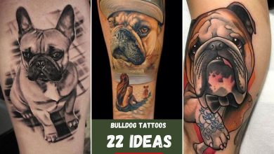 22 Bulldog Tattoo Ideas Showcasing Loyalty and Strength