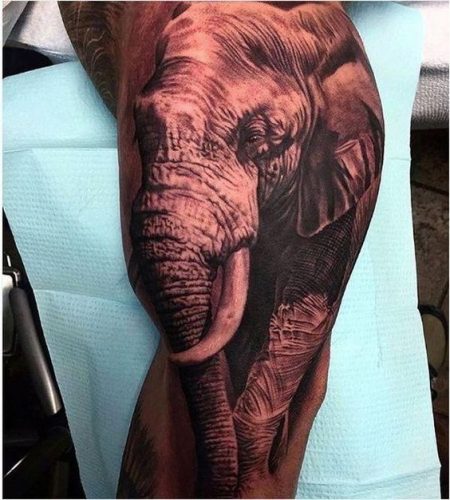 22 Elephant Leg Tattoos Ideas