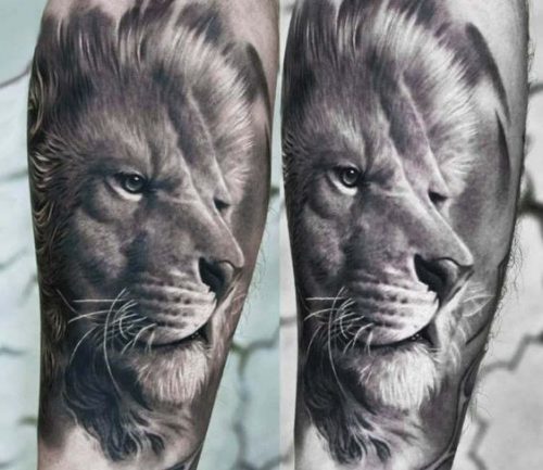 20 Ideas for Lion Tattoos: Drawing Inspiration, Images, and Sketches