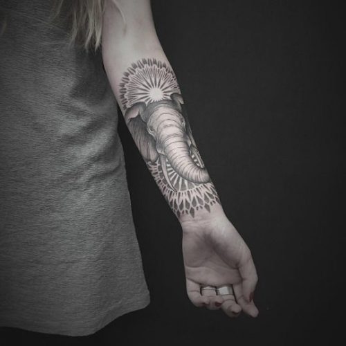 21 Elephant Tattoos on Forearm Ideas