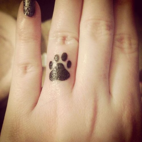 27 Cat Tattoo Ideas for the Finger
