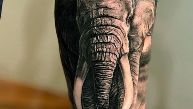 21 Elephant Tattoos on Forearm Ideas