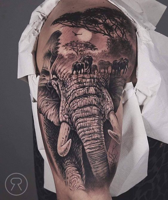 17 Elephant Tattoo Ideas for Men: Strong and Masculine Designs