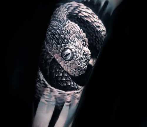 17 Awe-Inspiring Viper Snake Tattoo Concepts