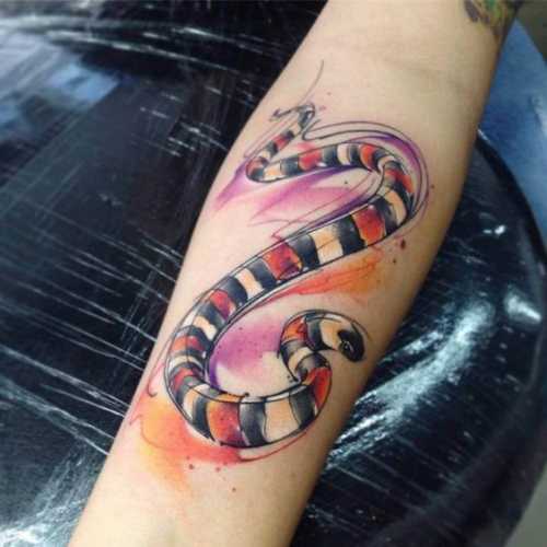 25 Ideas Embracing Color in Snake Tattoo Designs