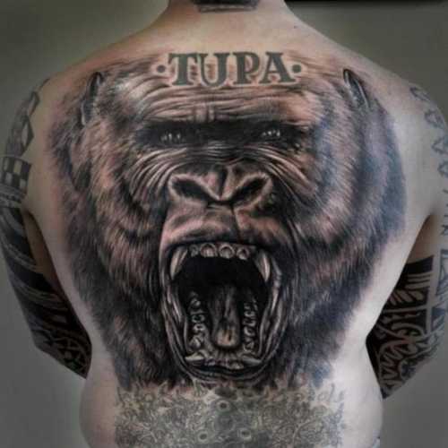23 Gorilla Tattoo Ideas