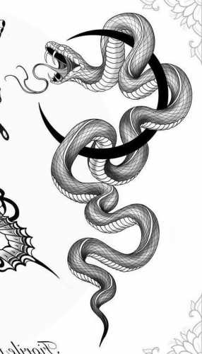 15 Captivating Snake Tattoo Sketch Ideas