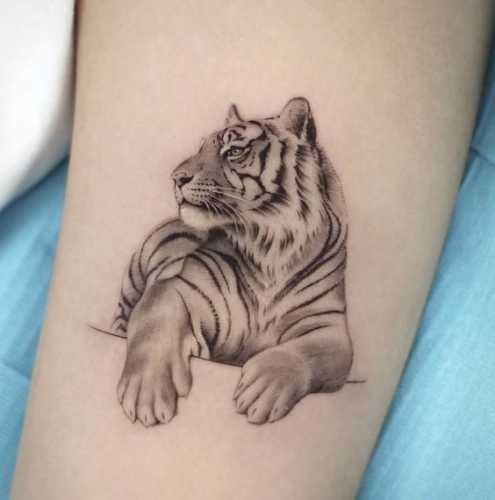 23 Traditional Tiger Tattoo Ideas