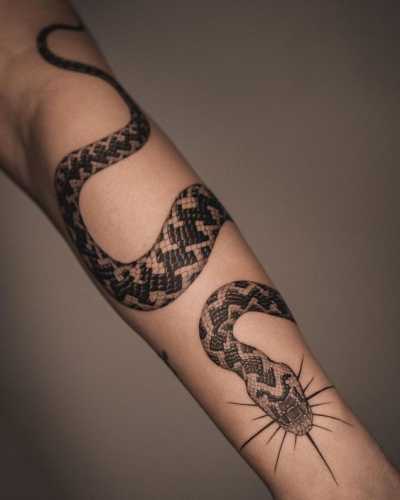 17 Awe-Inspiring Viper Snake Tattoo Concepts