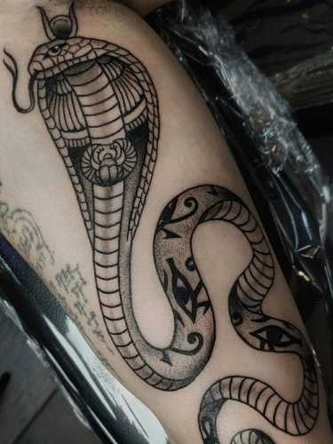 30 Exploring the World of Snake Tattoo Art