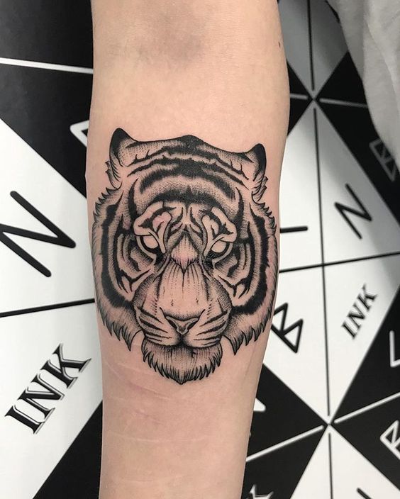 25 Striking Tiger Tattoo on Arm Ideas: Embrace the Roar of Power