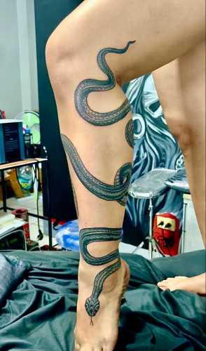 30 Exploring the World of Snake Tattoo Art