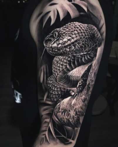 20 Unveiling the Snake Tattoo Sleeve