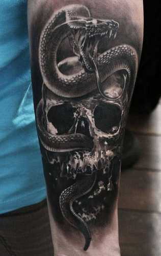 20 Snake Tattoos on Arm for a Bold Statement