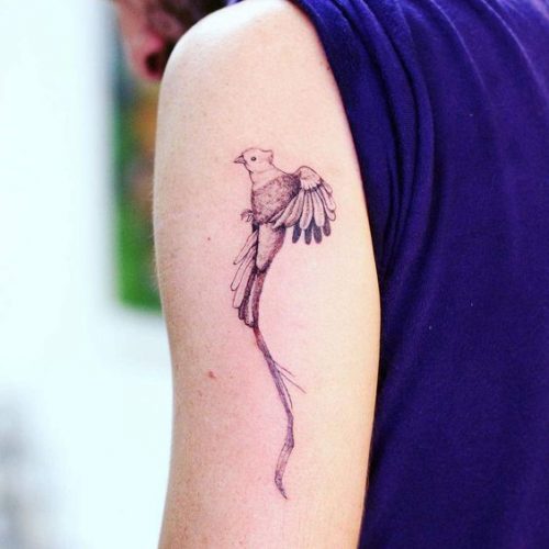 Explore 20 Captivating Quetzal Tattoo Designs for a Vibrant 2025 Ink Inspiration