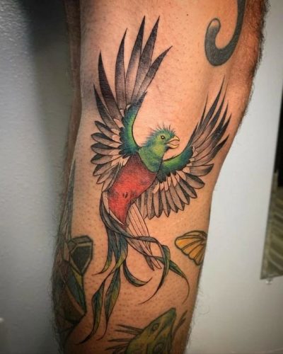 Explore 20 Captivating Quetzal Tattoo Designs for a Vibrant 2025 Ink Inspiration