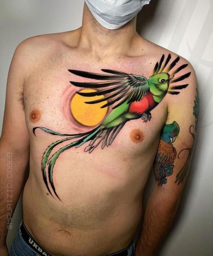 Explore 20 Captivating Quetzal Tattoo Designs for a Vibrant 2025 Ink Inspiration