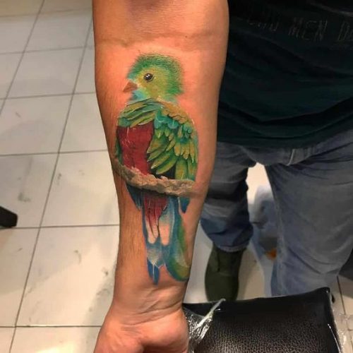 Explore 20 Captivating Quetzal Tattoo Designs for a Vibrant 2024 Ink ...