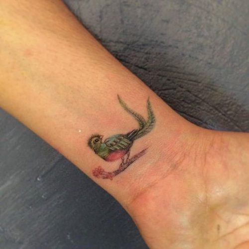 Explore 20 Captivating Quetzal Tattoo Designs for a Vibrant 2025 Ink Inspiration