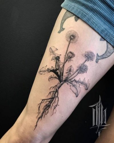 Discover 22 Unique Dandelion Tattoo Inspirations for 2024 – Embrace ...