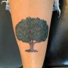 27 Ideas Poison Tree Tattoo 2025 The Dark Beauty Of Nature Inspired Ink 27-ideas-poison-tree-tattoo-2025-the-dark-beauty-of-nature-inspired-ink