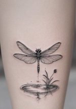 28 Ideas Dragonfly Tattoo 2025 Designs That Soar With Style Meaning 