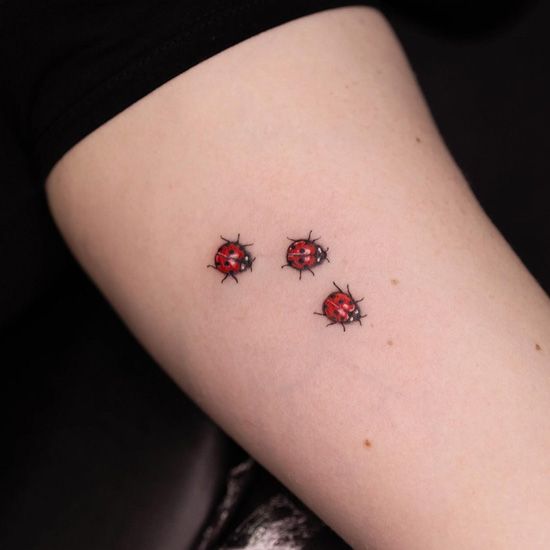 29 Ladybug Tattoo Ideas 2025 with Stencil Designs, Fine Line, Traditional Style, Gothic, Floral
