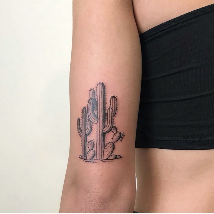 25 Cactus Tattoo Ideas 2025: Creative, Minimalist, Traditional, and Realistic Designs for Women and Men
