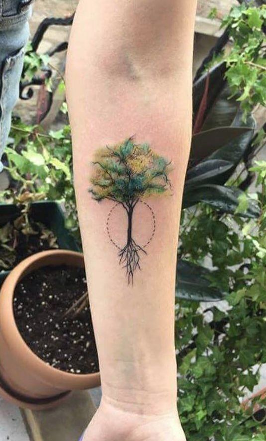 Explore 28 Tree Tattoo Ideas 2025: Minimalist, Fine Line, Sleeve &#038; Family-Inspired Designs