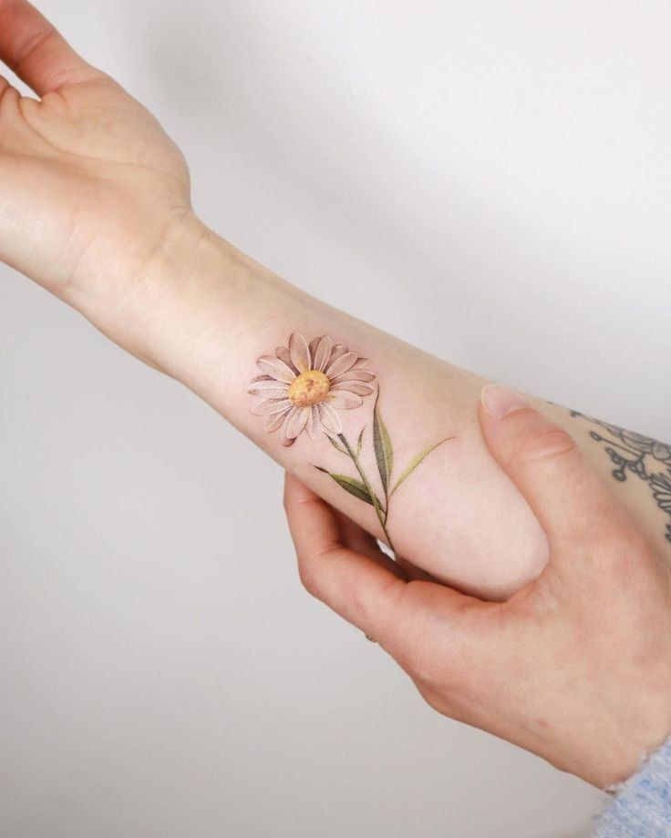 25 Daisy Tattoo Ideas 2025 with Fine Line, Watercolor, Minimalist, Stencil, Traditional &#038; Dainty Designs
