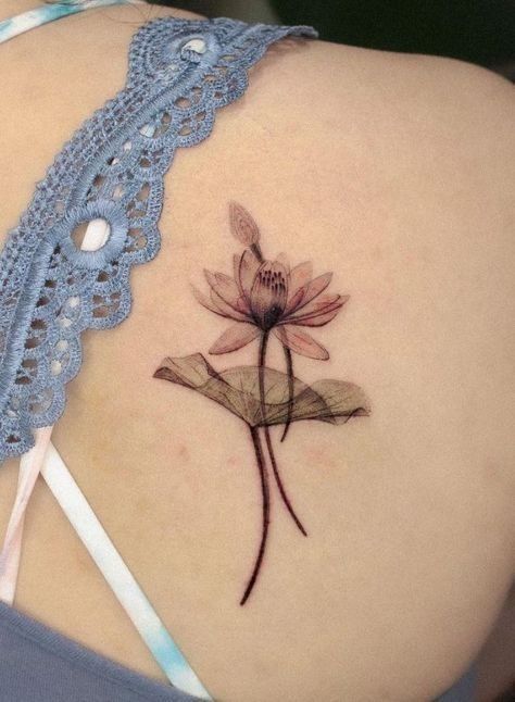 30 Creative Water Lily Tattoos for 2025: Tattoos with Special Meanings