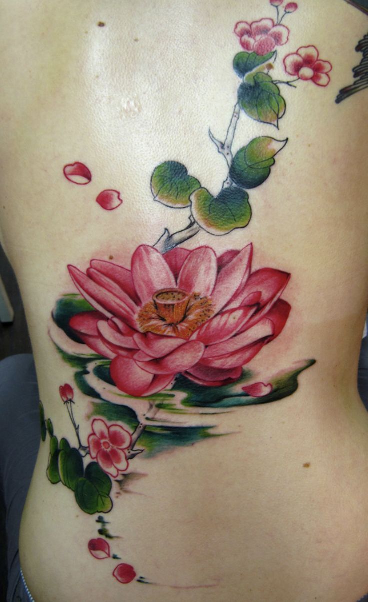 30 Creative Water Lily Tattoos for 2025: Tattoos with Special Meanings