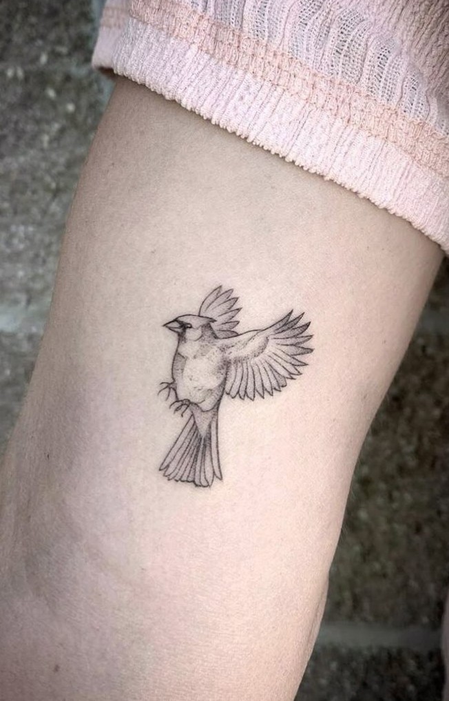 28 Cardinal Tattoo Ideas 2025 for Women and Men: Memorial, Fine Line, Stencil Outline, Small Flying