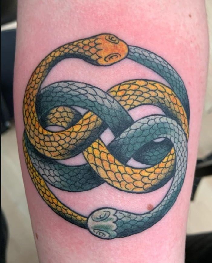 25 Ouroboros Tattoo Ideas 2025: Minimalist, Dragon, FMAB &#038; Traditional Snake Designs