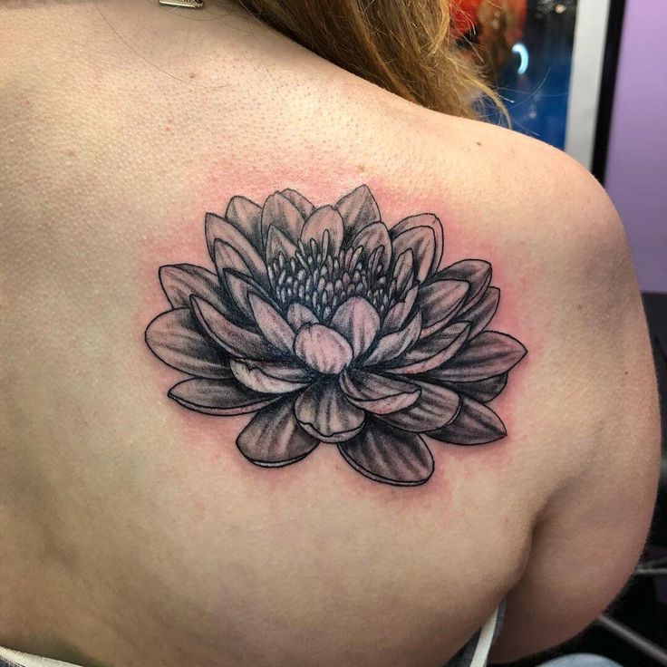 30 Creative Water Lily Tattoos for 2025: Tattoos with Special Meanings