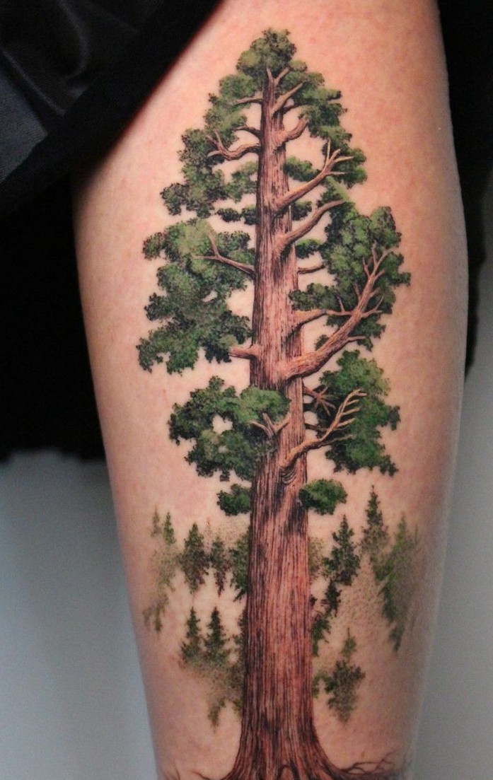 Explore 28 Tree Tattoo Ideas 2025: Minimalist, Fine Line, Sleeve &#038; Family-Inspired Designs