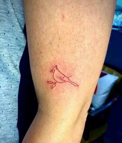 28 Cardinal Tattoo Ideas 2025 for Women and Men: Memorial, Fine Line, Stencil Outline, Small Flying