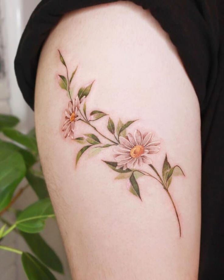 25 Daisy Tattoo Ideas 2025 with Fine Line, Watercolor, Minimalist, Stencil, Traditional &#038; Dainty Designs