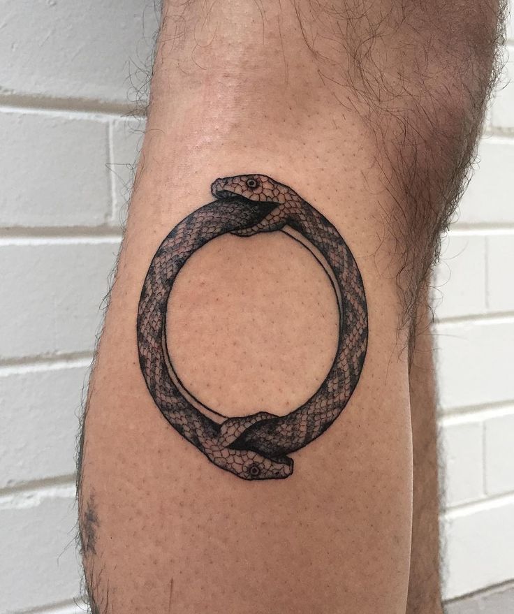 25 Ouroboros Tattoo Ideas 2025: Minimalist, Dragon, FMAB &#038; Traditional Snake Designs