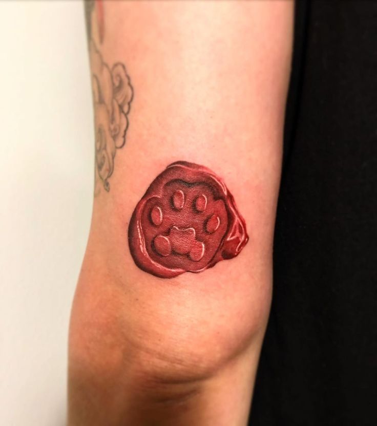 28 Paw Print Tattoo Ideas 2025 for Dog &#038; Cat Lovers – Memorial, Floral, Watercolor, Fine Line
