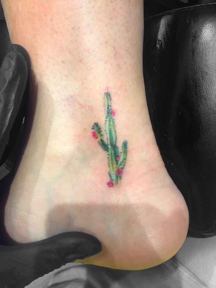 25 Cactus Tattoo Ideas 2025: Creative, Minimalist, Traditional, and Realistic Designs for Women and Men