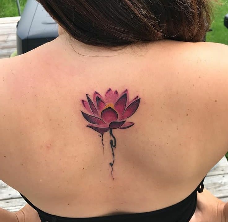 30 Creative Water Lily Tattoos for 2025: Tattoos with Special Meanings