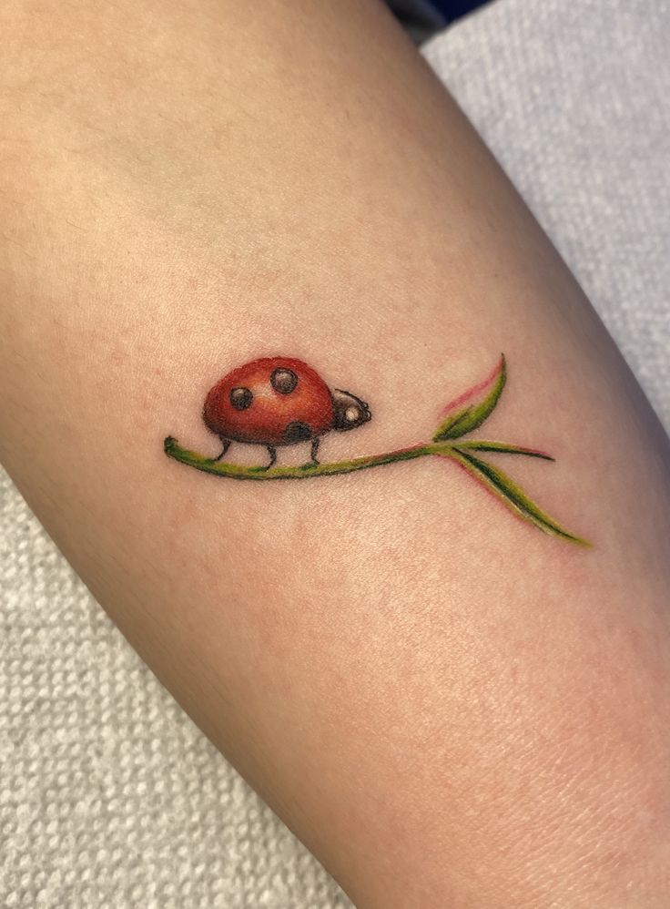 29 Ladybug Tattoo Ideas 2025 with Stencil Designs, Fine Line, Traditional Style, Gothic, Floral