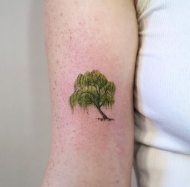 Explore 28 Tree Tattoo Ideas 2025: Minimalist, Fine Line, Sleeve &#038; Family-Inspired Designs