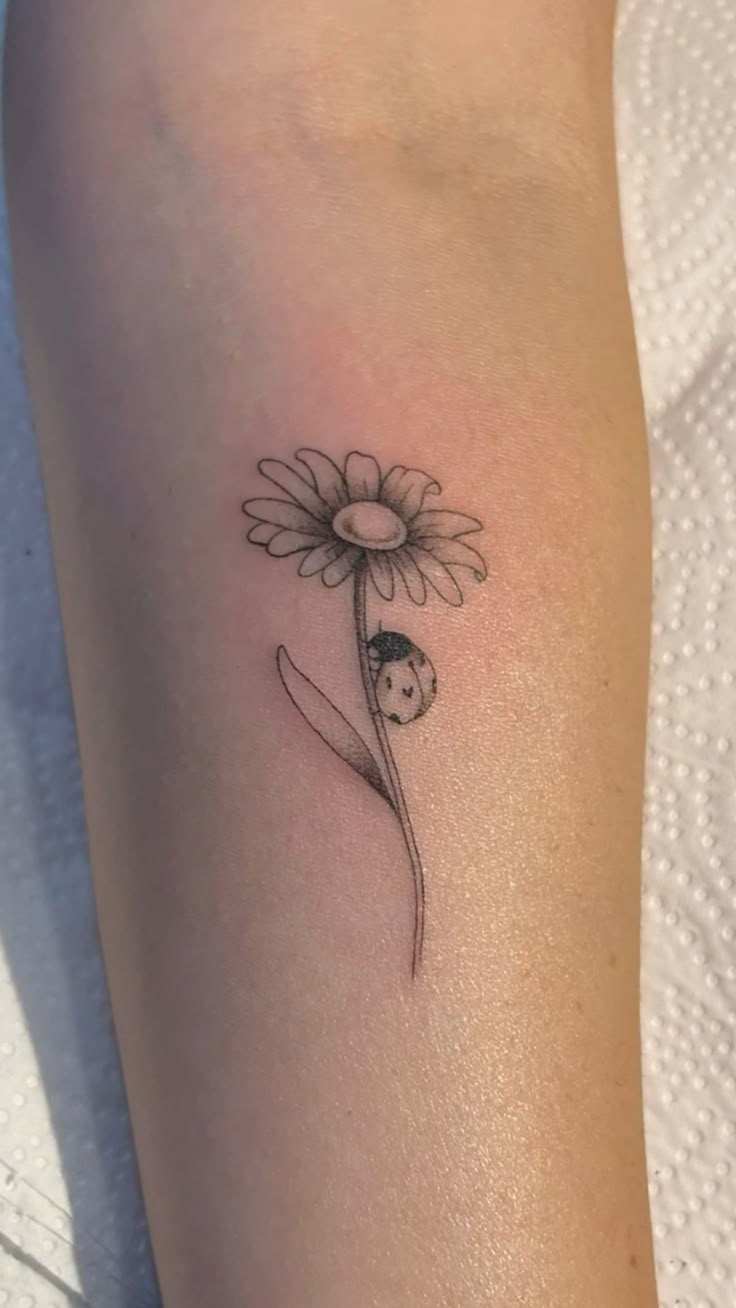 25 Daisy Tattoo Ideas 2025 with Fine Line, Watercolor, Minimalist, Stencil, Traditional &#038; Dainty Designs