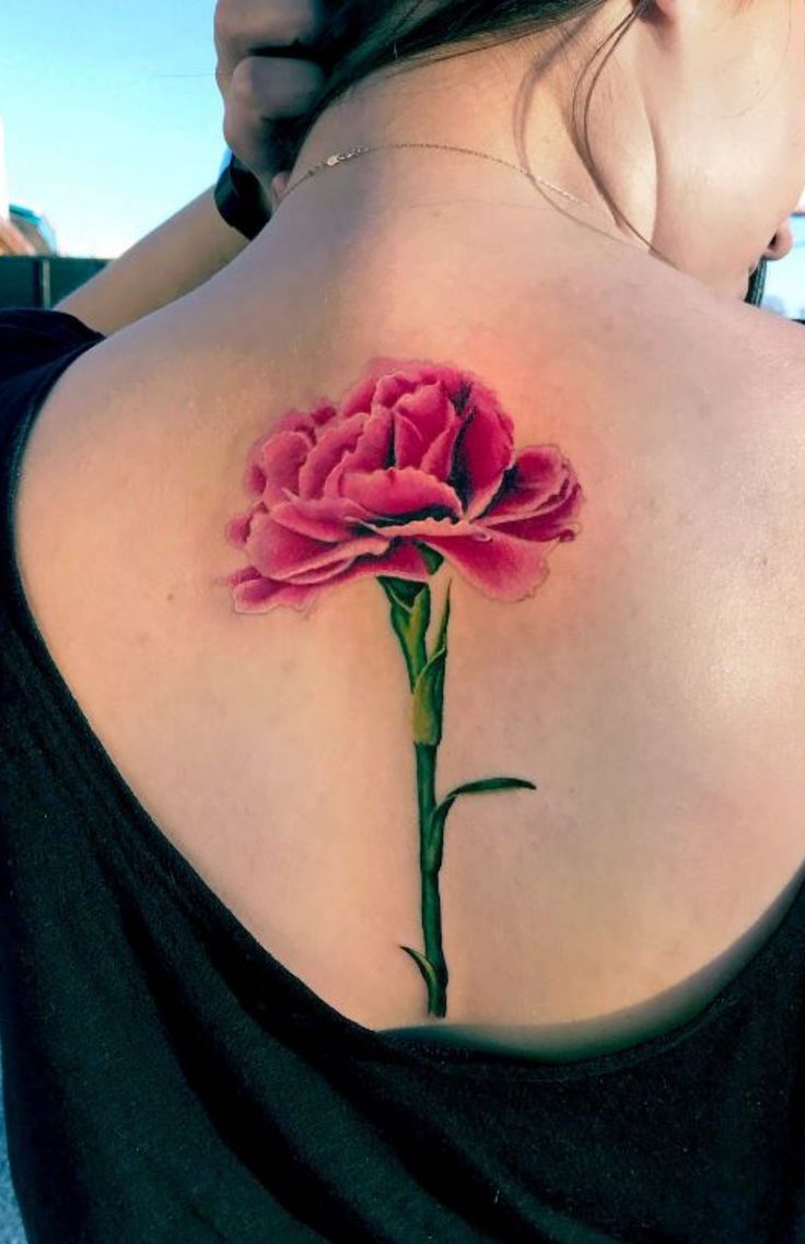 25 Carnation Tattoo Ideas 2025: Traditional Designs for Women, Shoulder, Sleeve, Ankle &#038; More